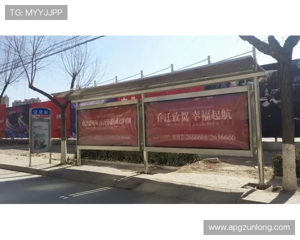 揭秘d88尊龙会员注册背后的优惠活动与服务内容