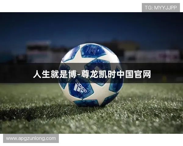 尊龙人生就是博门店：高端娱乐体验的创新模式与未来发展潜力分析